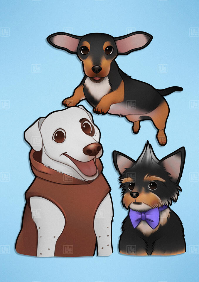 3 Dogs (Dachshund, Domestic, Yorkie)